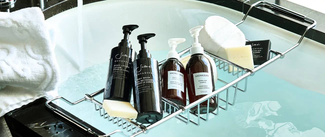 St. Regis Amenities